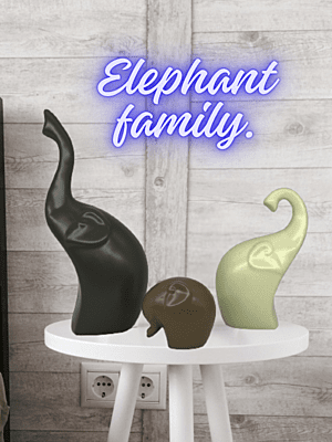 A family of three Elephants