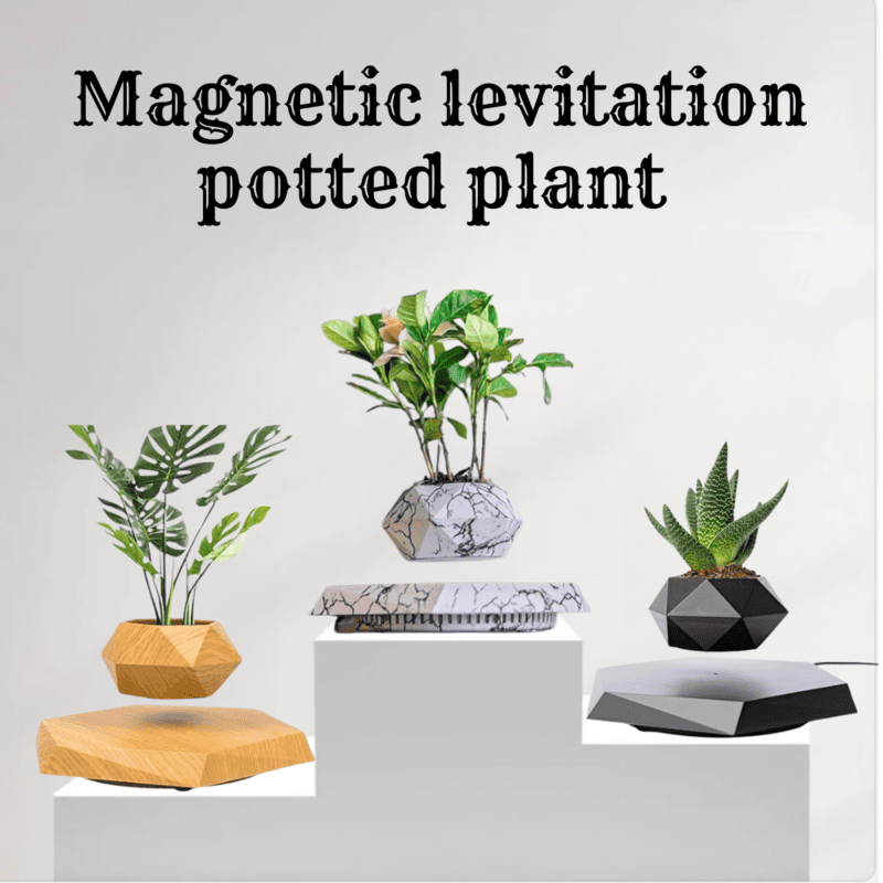 Magnetic Levitating Flower Pot Magnetic Levitating Flower Pot