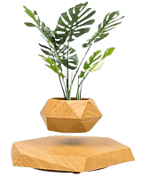 Magnetic Levitating Flower Pot Magnetic Levitating Flower Pot