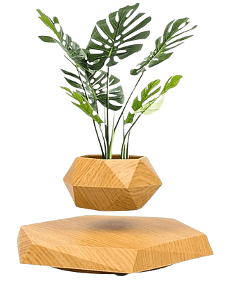 Magnetic Levitating Flower Pot Magnetic Levitating Flower Pot