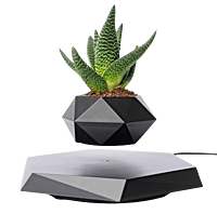 Magnetic Levitating Flower Pot Magnetic Levitating Flower Pot