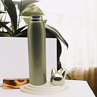 Stainless Steel Fox ear Thermal Water bottle Stainless Steel Fox ear Thermal Water bottle
