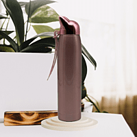 Stainless Steel Fox ear Thermal Water bottle Stainless Steel Fox ear Thermal Water bottle