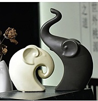 Couple Elephant